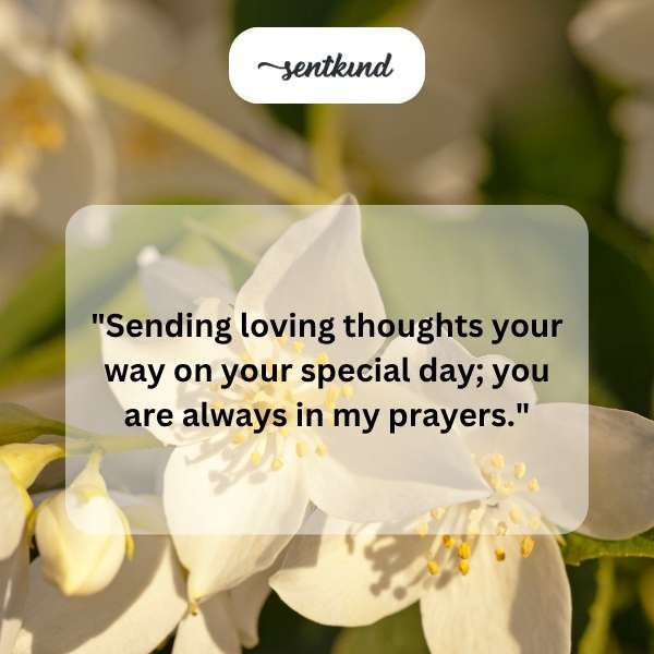 Heartfelt greetings for a cherished aunt's celebration day.