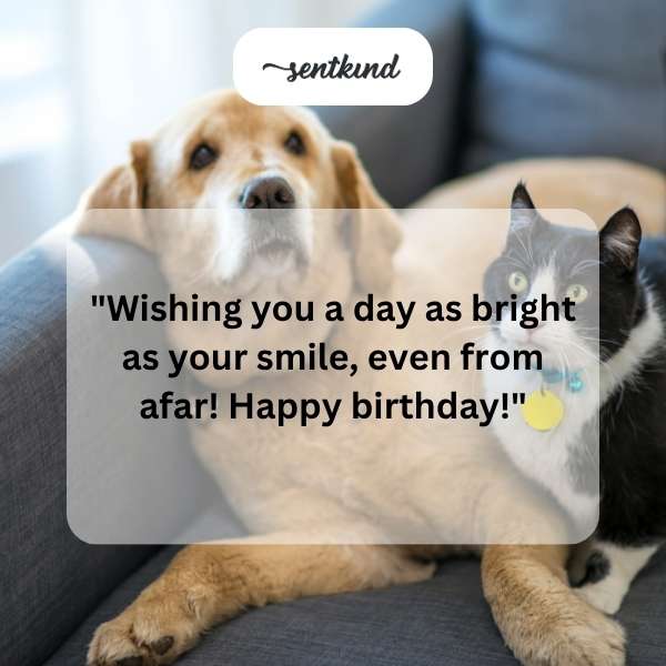 Sending joyful celebration messages to my dear cousin.