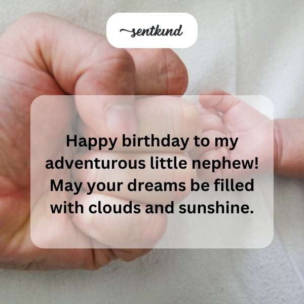 Wishing my energetic nephew a joyful birthday filled with dreams and adventures.