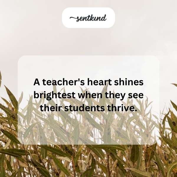Exceptional educators transform your perspective by broadening your horizons beyond the classroom.
