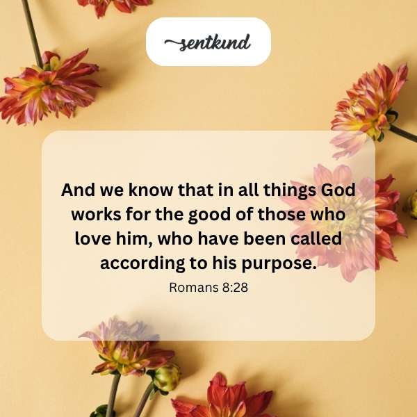 Open Bible with focus on 1 Peter 1:3 highlighting the phrase about new birth and living hope.