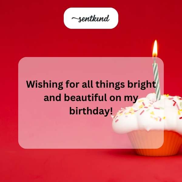 A joyful celebration of another year around the sun.