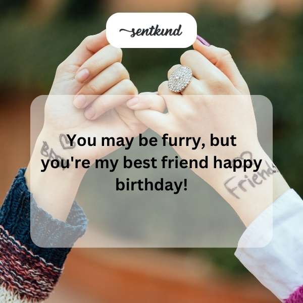 Celebration post for a special day with a furry companion.