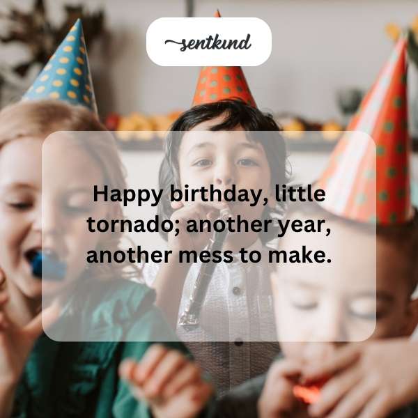 Celebrating the whirlwind of your second year of life.