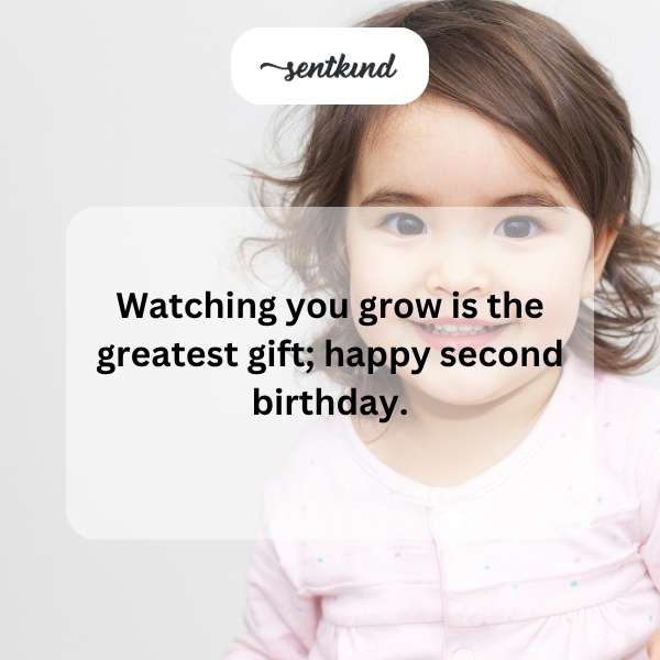 Celebrating two years of joy and growth.