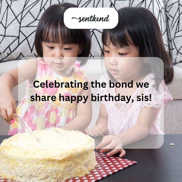 Instagram post captions for sister's birthday.
