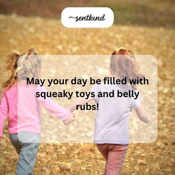 Celebratory captions for dog birthday posts.