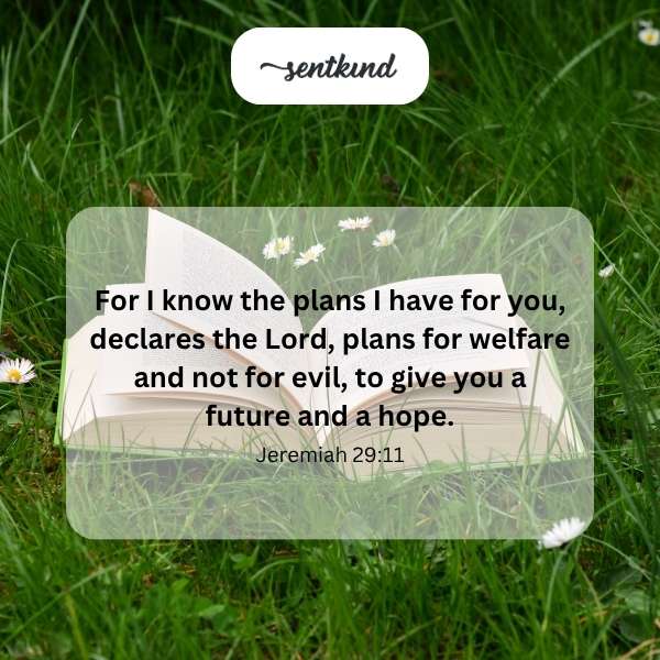 Text art featuring Jeremiah 29:11 with flourishing design elements.