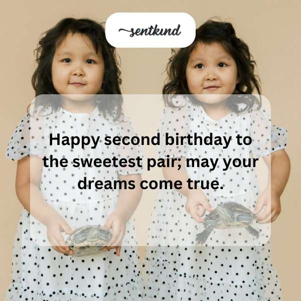 Wishing a joyful celebration to a delightful duo on their second birthday.