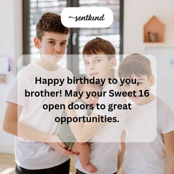 Warm greetings for your brother's sixteenth celebration.