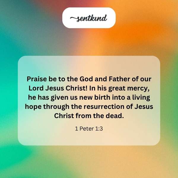 An open Bible shows Romans 12:2, highlighting transformation and God's will.