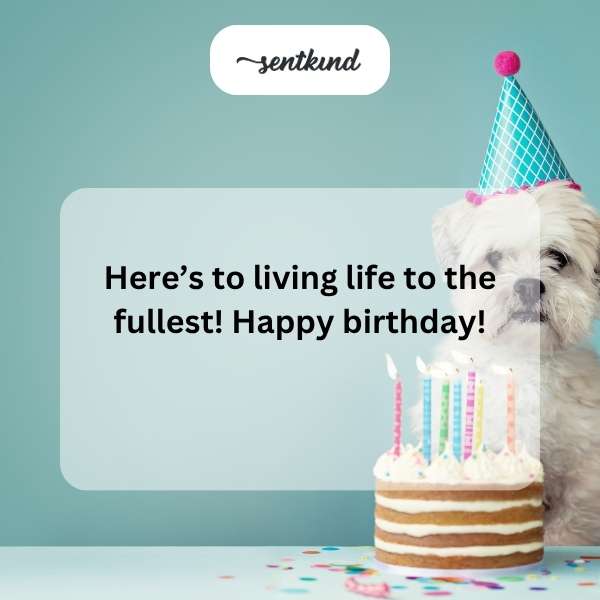 Celebrating two decades of life with heartfelt wishes.