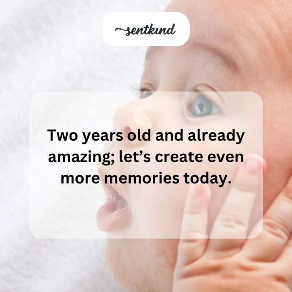 Celebrating the incredible journey of a toddler's second year.