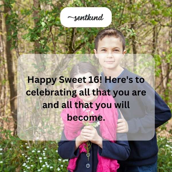 Celebratory greetings for a milestone 16th birthday.