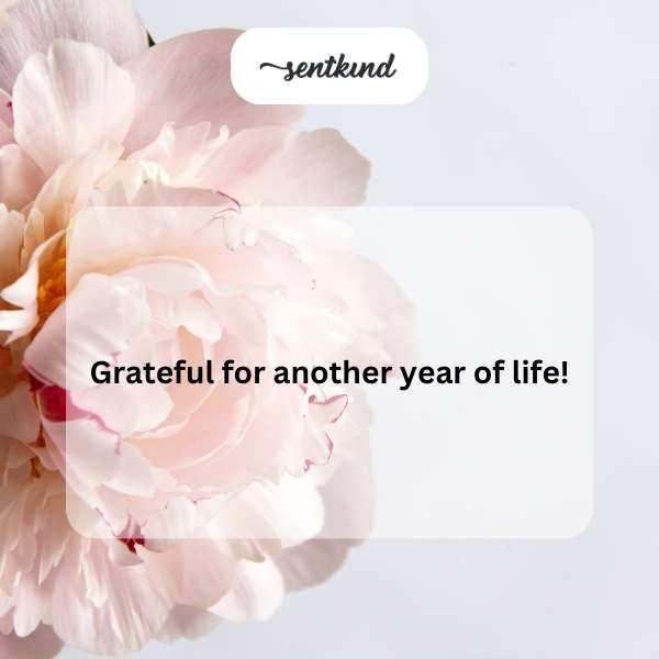 Celebrating another year of my journey around the sun.