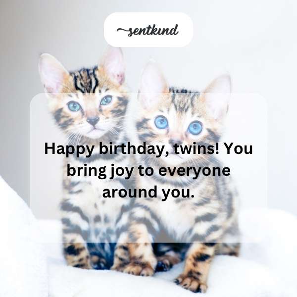 Birthday greetings for joyful twins.
