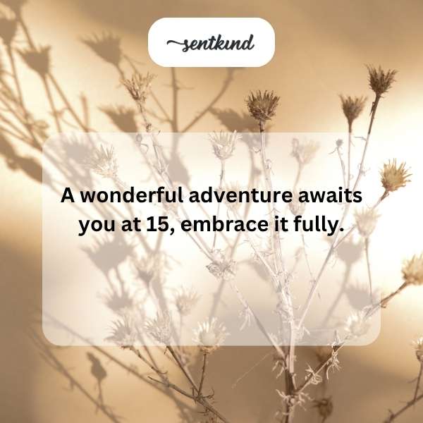 Wishing you a wonderful 15th celebration filled with joy.