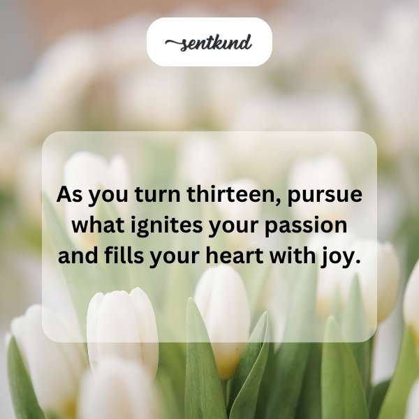 Celebrating the special milestone of turning thirteen with heartfelt wishes.