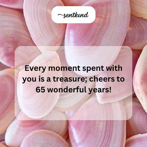 Wishing you a joyous 65th birthday, surrounded by love and admiration.