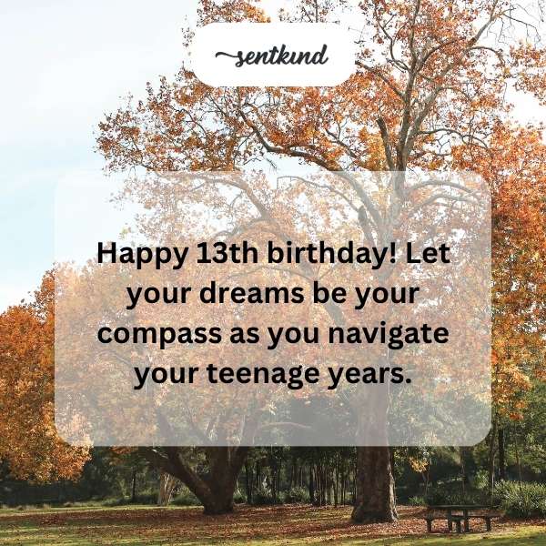 Greetings for turning thirteen.
