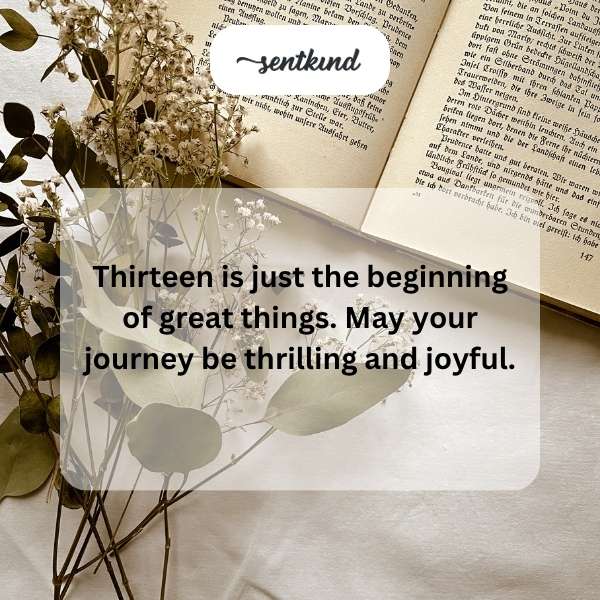 Celebrating the joy of turning thirteen with heartfelt wishes.