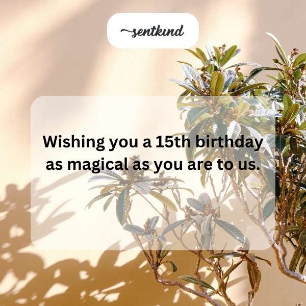 Celebrating the exciting journey of turning 15 with joy and wonder.