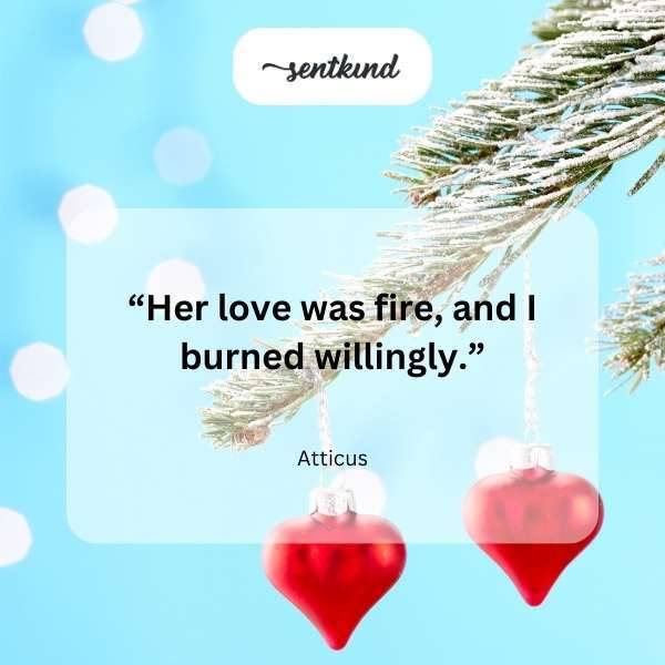 atticus quotes about the meaning of love 7